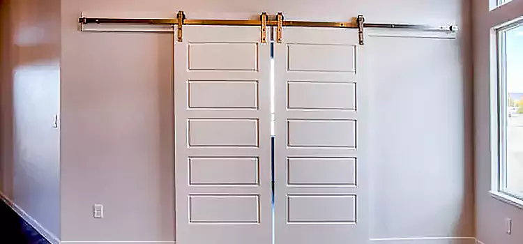 Glass Barn Door with Installation Hardware Kit South Plainfield