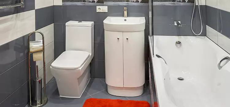 Hansgrohe Shaving Mirror South Plainfield